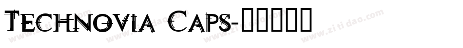 Technovia Caps字体转换